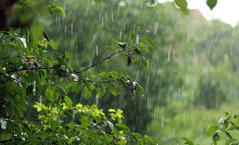 Sabah Bakıda və rayonlarda bəzi yerlərdə yağış yağacaq