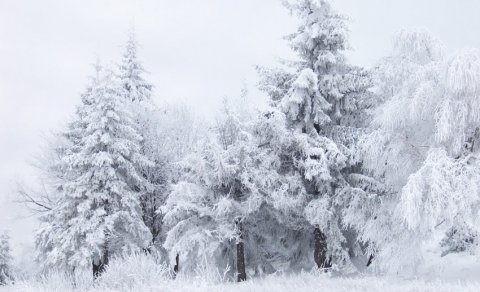 Qrıza 20 sm qar yağıb, Bakıda temperatur normadan aşağı olub - FAKTİKİ HAVA