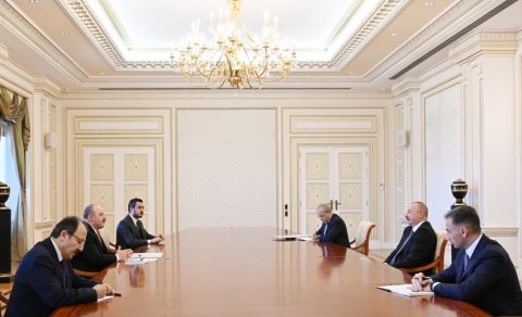 Prezident İlham Əliyev Türkiyənin sənaye və texnologiya nazirini qəbul edib