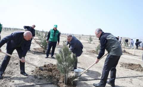 Heydər Əliyevin 100 illik yubileyi ilə əlaqədar ağacəkmə aksiyası keçirilib