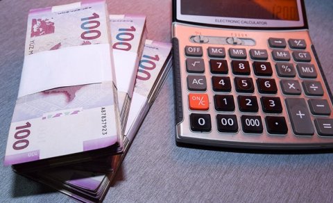 Naxçıvanda vergi daxilolmaları martda 56 % artıb