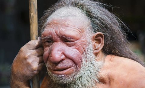 40 min il əvvəl nəsli kəsilən Neandertalın izləri müasir insanda tapıldı - Maraqlı araşdırma