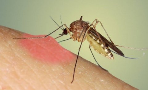 Yeni təhlükəli virus yayıldı xəbərdarlıq - 400-dən çox yoluxan var