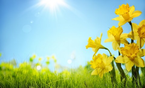 Şənbə günü Bakıda 38 dərəcə isti olacaq