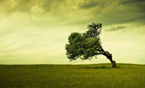 Hava ilə bağlı məlumat: Temperatur düşəcək, külək əsəcək