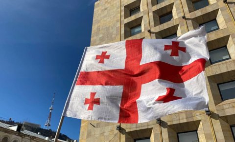 Gürcü deputat NATO-ya görə hökuməti günahlandırdı