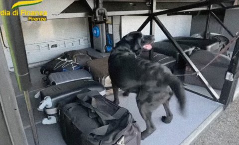 Polis itindən 1 milyon avro tapdı