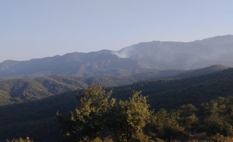 Cəlilabadda meşədə yanğın olub, hadisəni törədən şəxs müəyyən edilib