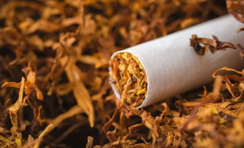 Tütün 200 mindən çox xərçəng halına səbəb olub