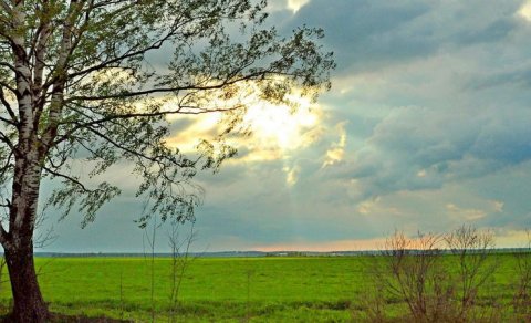 İstirahət gününün hava proqnozu