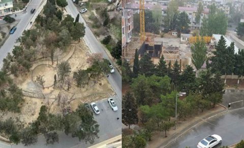 Bakıda parkda yaşıllıqları qurudub restoran tikmək istədilər - FOTO/VİDEO
