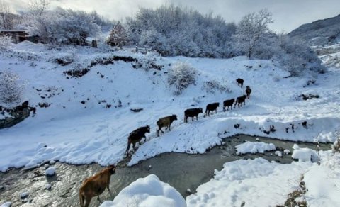 İcra başçısı maraqlı fotolar paylaşdı - FOTOLAR