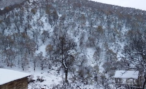 Bakıda 2, dağlarda 15 dərəcəyədək şaxta olacaq