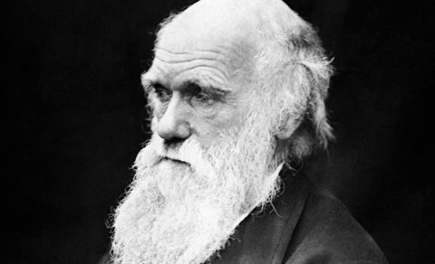 Tədqiqatçılar Çarlz Darvinin Kitabxanasını yenidən yığdı