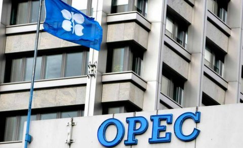 OPEC bu il Azərbaycanda karbohidrogen hasilatı üzrə proqnozunu açıqladı