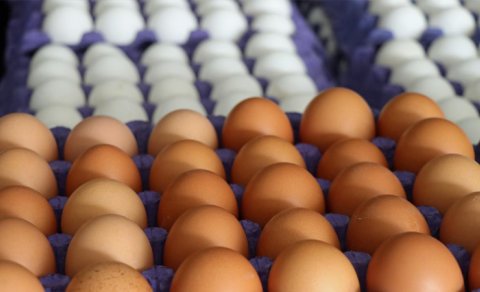 Yumurtanın qiymətinin ucuzlaşmasına səbəb nədir?