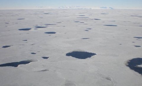 Antarktidada Çexiya böyüklüyündə polinyanın mənşəyi aşkarlandı