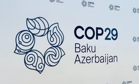 Slovakiya Azərbaycanın COP29 ilə əlaqədar tədbirlərini dəstəkləməyə hazırdır