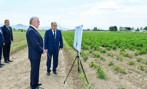 Vasif Talıbovun Naxçıvanda yaratdığı fermer təsərrüfatı ləğv edildi