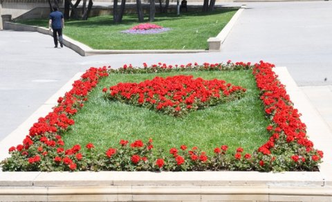 Bakıda yeni parklar salınır - FOTOLAR