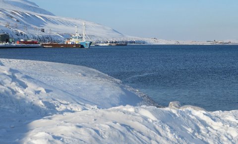 Norveç Uzaq Şimalda dünyanın sonunda torpaq sahəsini çinlilərin satın almasından qorxub