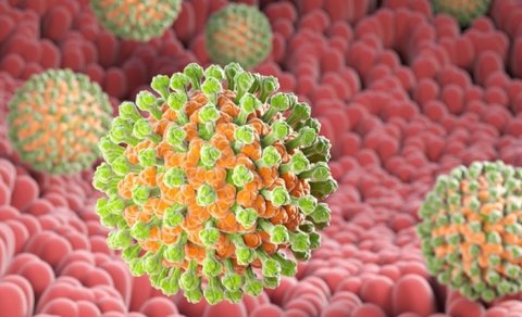 Rotavirusun əsas simptomları nələrdir? - İnfeksionist danışdı