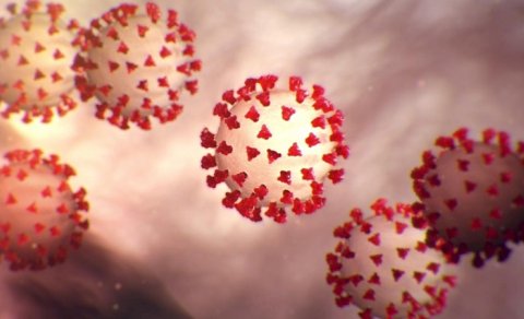 Koronavirusun yeni mutasiyası yaranacaq? - İnfeksionist danışdı