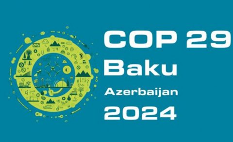 "COP29 Azərbaycan üçün çox ciddi perspektivlər vəd edir" - Ekspert