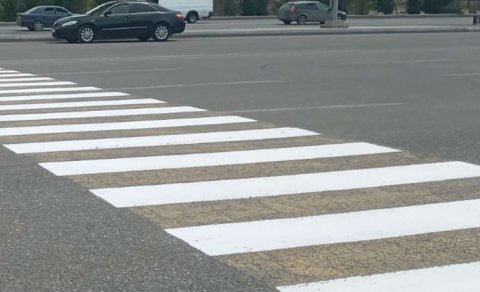 Yoldakı “zebra” hara yoxa çıxır?