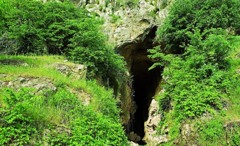 Azıx mağarasında yeni tədqiqatlar nə vaxt başlayacaq?