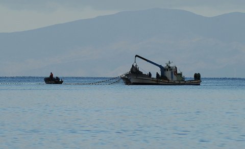 FT: Narkotiklər Avropaya Polşa bayrağı altında üzən gəmilərlə gətirilir
