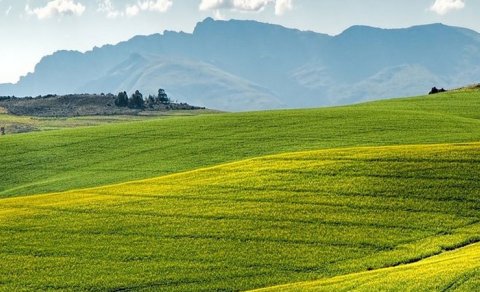 Azərbaycanda torpağın məqsədli təyinatının dəyişdirilməsi üçün əsaslar müəyyənləşdi