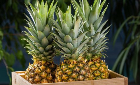 Dadlı olmaqla yanaşı, sağlıqlı olan meyvə - Ananas