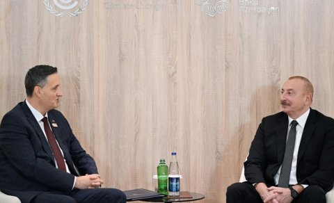 İlham Əliyev Bosniya və Herseqovinanın Rəyasət Heyətinin Sədri və üzvü ilə görüşdü
