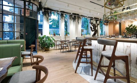 Azərbaycanda yeni veqan restoranlarının fəaliyyətə başlaması təklif olunur
