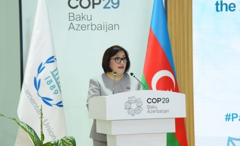 COP29-da artıq bəzi mühüm nəticələr əldə olunub - Milli Məclisin sədri
