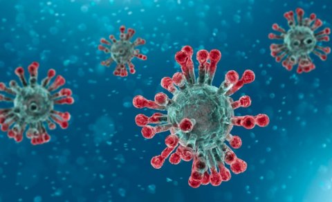 Koronavirus təhlükəsi geridə qalıb? - "Yeni ştamlar olacaq, amma..."