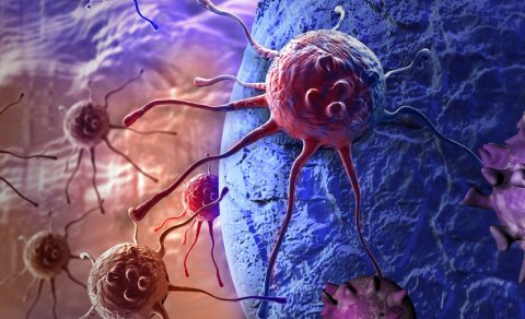 Alimlər: Xərçəng hüceyrələri toxuma matriksini dağıdaraq orqanizmdə hərəkət edir