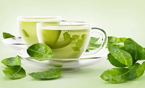 Yaşıl çay hər kəs üçün sağlıqlı deyilmiş