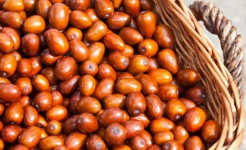 Sümük və əzəl sisteminin inkişafı üçün İYDƏ UNU