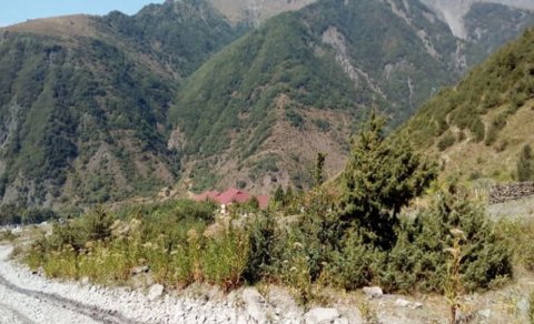 Vətən müharibəsi qazisi Zaqatalada necə ölüb? - TƏFƏRRÜAT