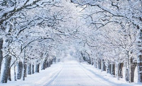 Temperatur düşəcək, bəzi rayonlarda qar yağacaq - XƏBƏRDARLIQ
