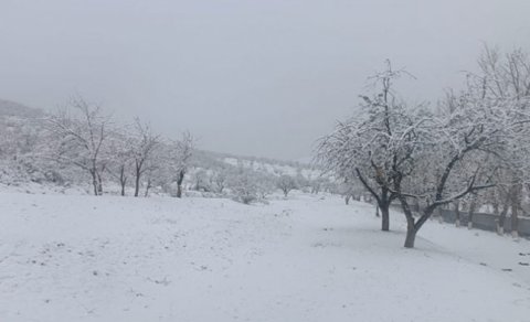 Sabah da qar yağacaq