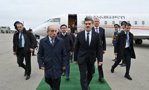 Gürcüstan Prezidenti Azərbaycana rəsmi səfərə gəldi