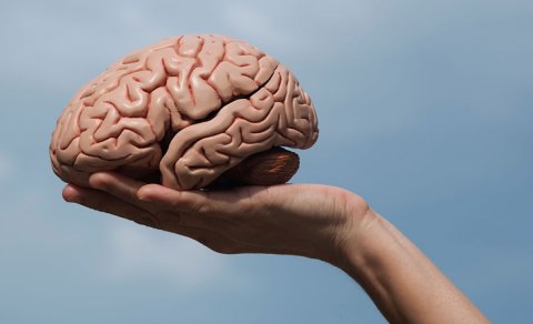 Epilepsiya müalicəsinin açarı tapıldı