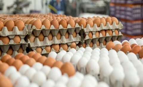 Makretlərdə köhnə yumurta satılır - Necə ayırd edək?