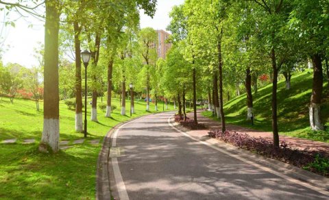 Bakının bu ərazisində böyük park salınır