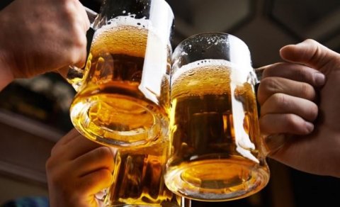 Pivənin nə kimi ziyanı və xeyri var?