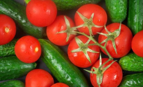 Pomidor və xiyarlar nə üçün dadsızdır?