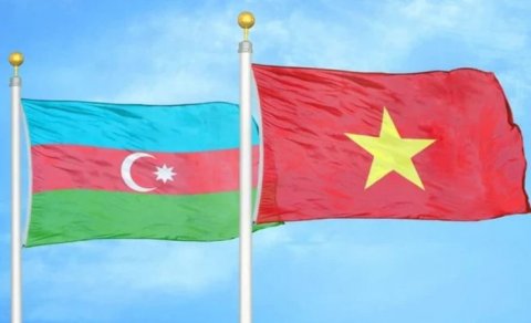 Vyetnamla hansı sahədə əməkdaşlıq ölkəmiz üçün daha faydalı olar?